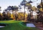 Golf de Rochefort en Yvelines